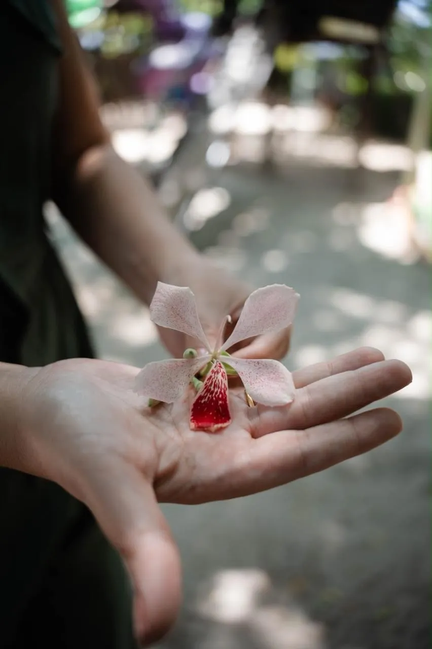 Flor delicada na palma da mão